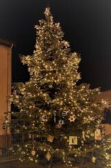 Aktion: „Kinder schmücken den Weihnachtsbaum in Stockstadt am Rhein“