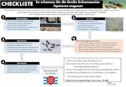 Bild zur Checkliste zur Bekämpfung der Ameisenart Tapianoma magnum