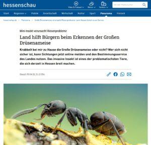 Screenshot der Website Hessenschau
